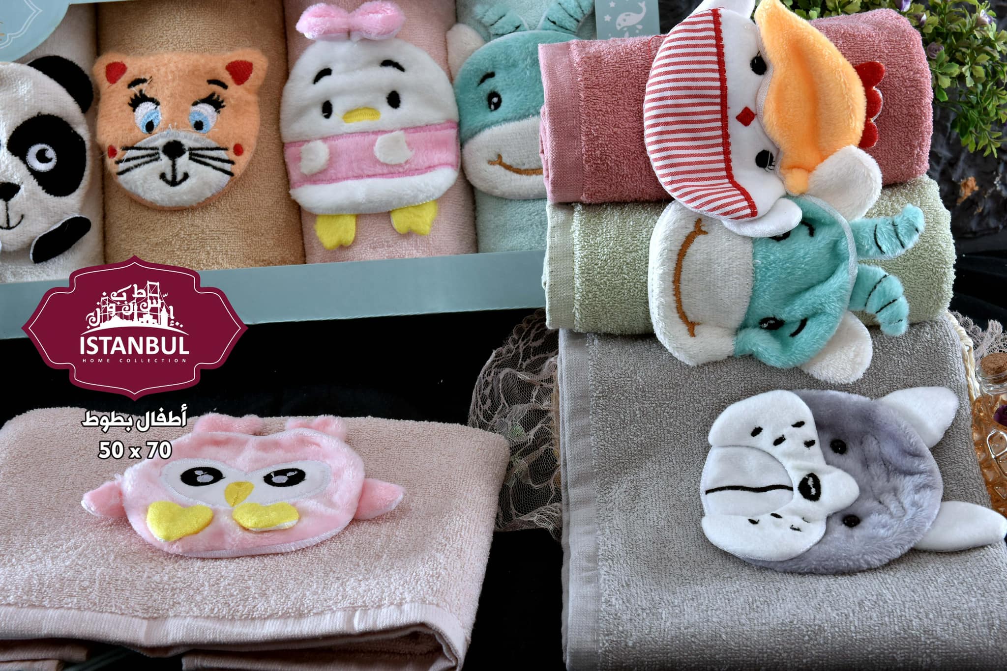 Zoo Collection