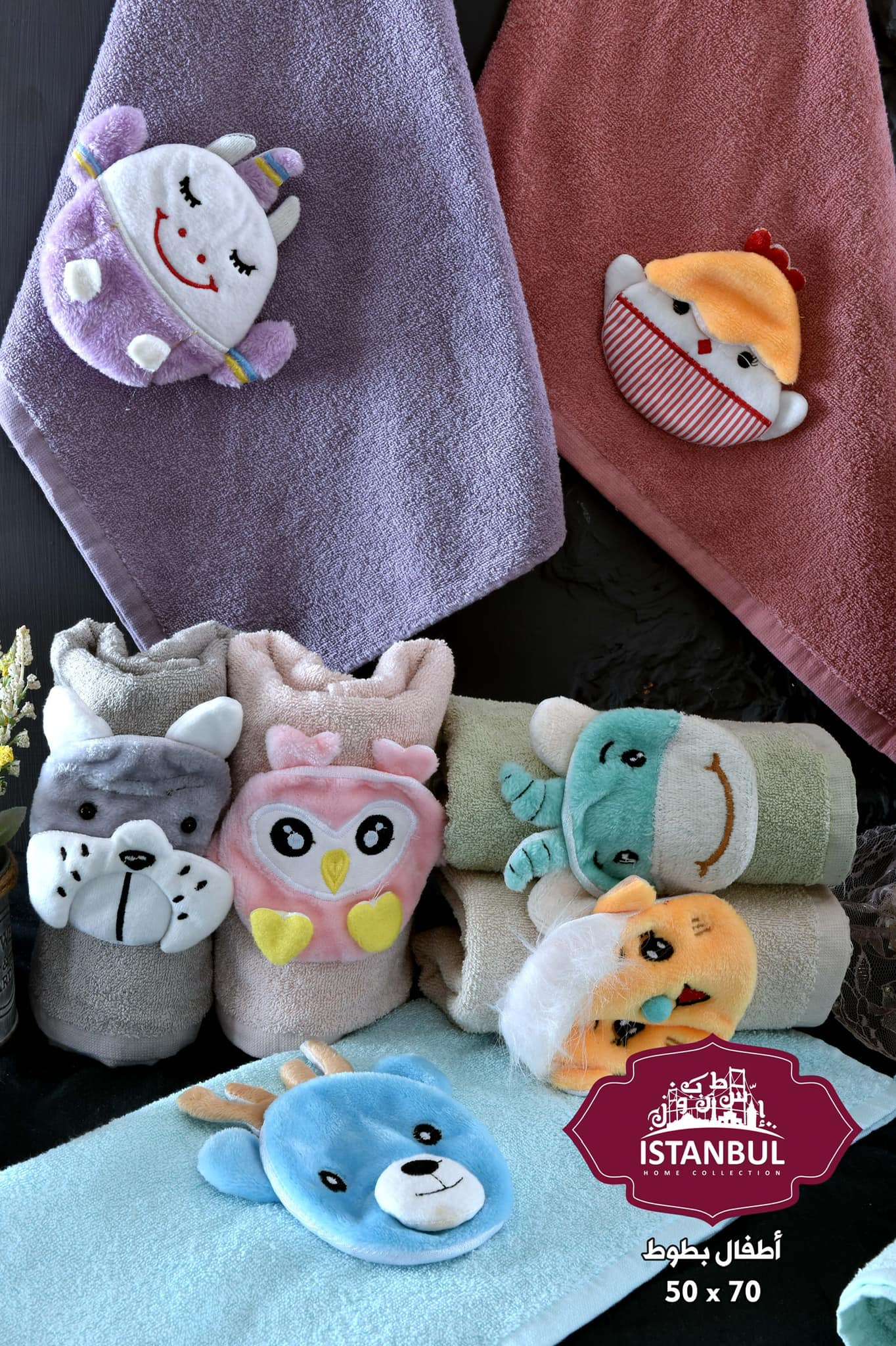 Zoo Collection
