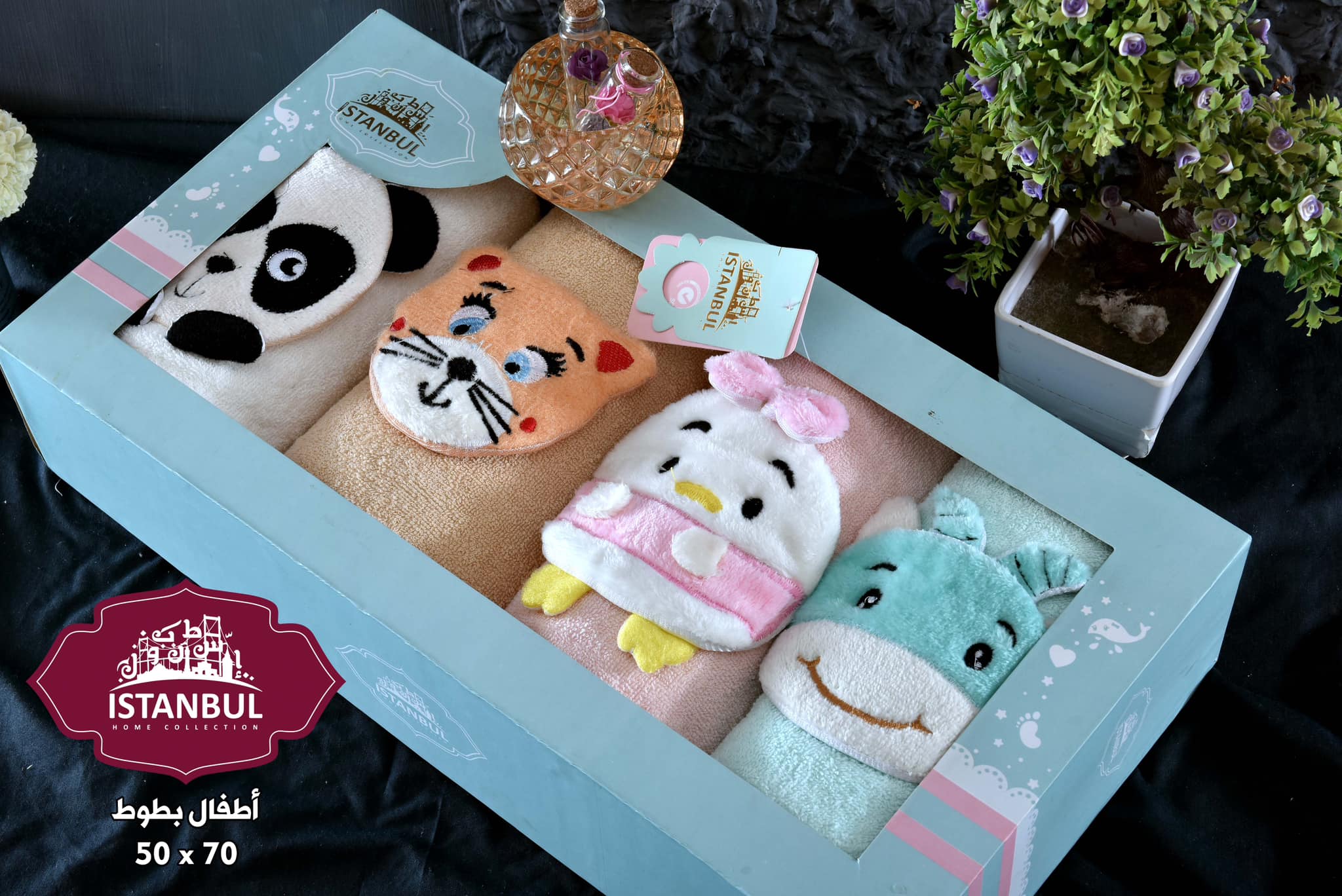 Zoo Collection