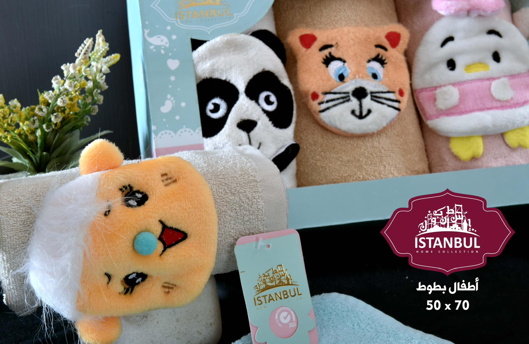 Zoo Collection
