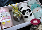 Zoo Collection